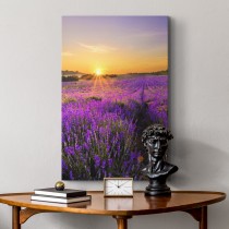 Päikeseloojang lavendlipõllul 