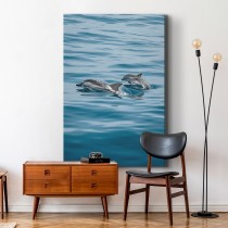 Stiilne interjööriaktsent – fotolõuend Delfiinid!