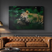 Leopardid