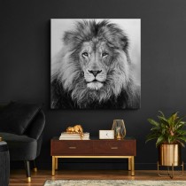 Karalis lauva