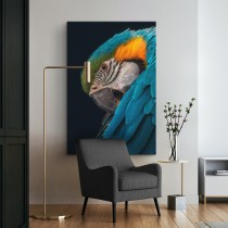Papagoi Ara